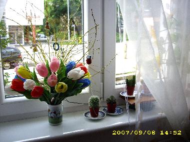 Ferienwohnung in Olsztyn (Warminsko-Mazurskie) oder Ferienwohnung oder Ferienhaus