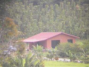 Ferienwohnung in cabo blanco (Puntarenas) oder Ferienwohnung oder Ferienhaus
