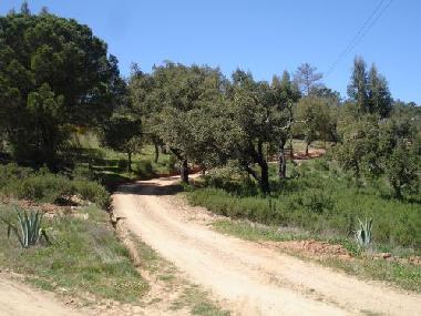 Ferienhaus in Santiago do Cacem (Alentejo Litoral) oder Ferienwohnung oder Ferienhaus