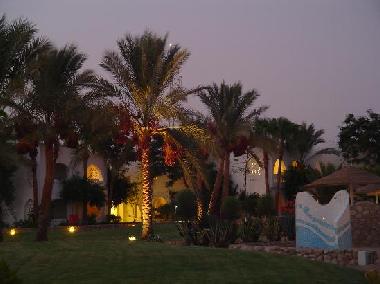 Ferienwohnung in Sharm El Sheikh (Shamal Sina') oder Ferienwohnung oder Ferienhaus