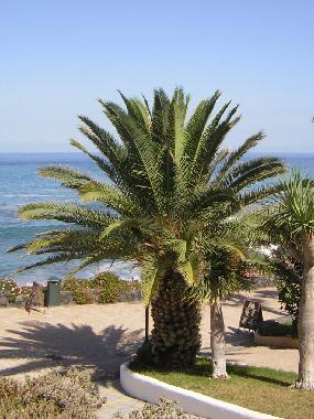 Ferienwohnung in Puerto de la Cruz (Teneriffa) oder Ferienwohnung oder Ferienhaus