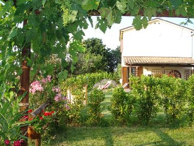 Ferienhaus in Montalto delle Marche (Ascoli Piceno) oder Ferienwohnung oder Ferienhaus