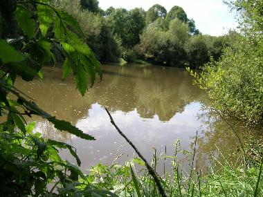 Ferienhaus in SAIN BONNET DE SALERS (Cantal) oder Ferienwohnung oder Ferienhaus