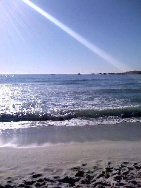 Pension in Cape Town (Western Cape) oder Ferienwohnung oder Ferienhaus