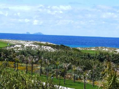 Ferienwohnung in Obidos (Norte) oder Ferienwohnung oder Ferienhaus