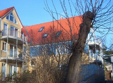 Ferienwohnung in Boltenhagen (Mecklenburgische Ostseek�ste) oder Ferienwohnung oder Ferienhaus