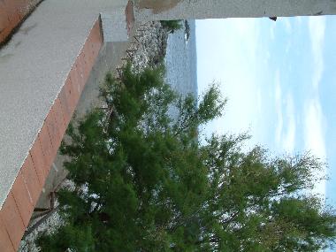 Ferienhaus in Pomonte (Livorno) oder Ferienwohnung oder Ferienhaus