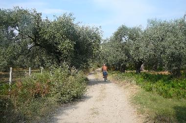 fahrrad 
