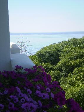 Ferienwohnung in Benalmadena Costa (Mlaga) oder Ferienwohnung oder Ferienhaus