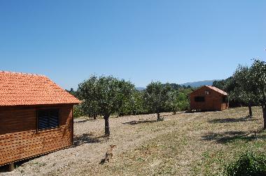 Chalet in Gouveia (Serra da Estrela) oder Ferienwohnung oder Ferienhaus