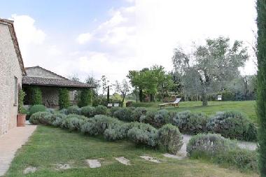 Ferienhaus in cetona (Siena) oder Ferienwohnung oder Ferienhaus