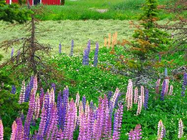 Chalet in Jokela (Etela-Suomen Laani) oder Ferienwohnung oder Ferienhaus