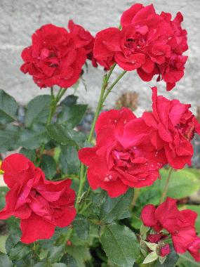 Chalet in Jokela (Etela-Suomen Laani) oder Ferienwohnung oder Ferienhaus