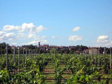 Ferienhaus in Torgiano (Perugia) oder Ferienwohnung oder Ferienhaus