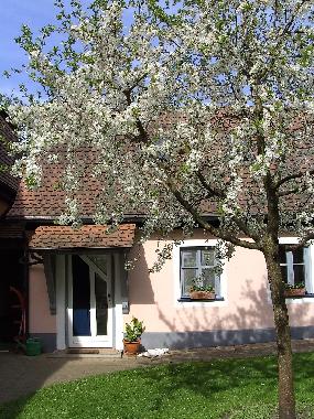 Ferienhaus in Gunzenhausen (Mittelfranken) oder Ferienwohnung oder Ferienhaus