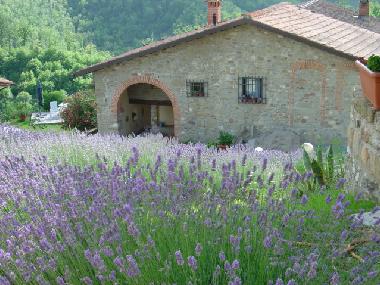 Ferienwohnung in Barberino del Mugello (Florence) (Firenze) oder Ferienwohnung oder Ferienhaus