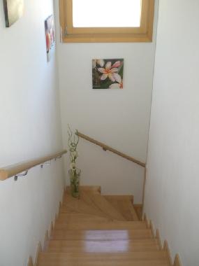 Ferienhaus in Barban/Zminj, ISTRIA (Istarska) oder Ferienwohnung oder Ferienhaus