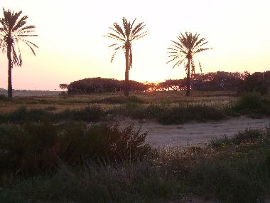 Chalet in Torrevieja (Alicante / Alacant) oder Ferienwohnung oder Ferienhaus