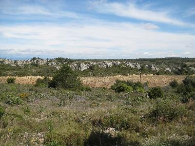 Montagne de la Clape
