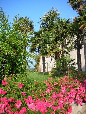 Ferienwohnung in torre fucecchio (Firenze) oder Ferienwohnung oder Ferienhaus