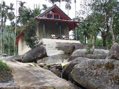 Pension in Muttil peak (Kerala) oder Ferienwohnung oder Ferienhaus