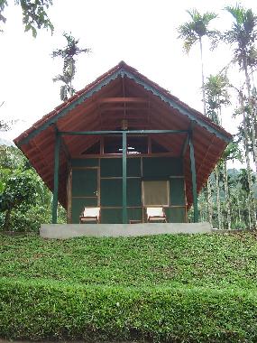 Pension in Muttil peak (Kerala) oder Ferienwohnung oder Ferienhaus