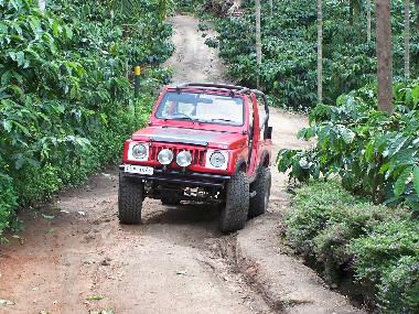 Pension in Muttil peak (Kerala) oder Ferienwohnung oder Ferienhaus