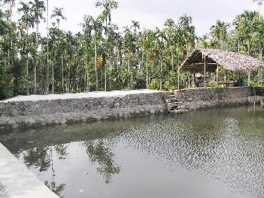 Pension in Muttil peak (Kerala) oder Ferienwohnung oder Ferienhaus