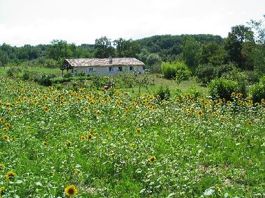 Ferienhaus in Port-Sainte-Marie (Laggarigue) (Lot-et-Garonne) oder Ferienwohnung oder Ferienhaus