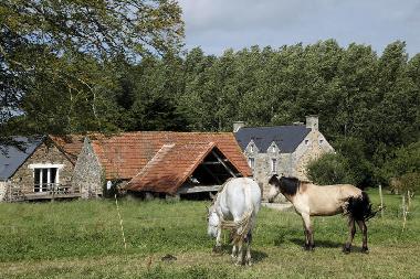 Ferienwohnung in Benoistville (Manche) oder Ferienwohnung oder Ferienhaus