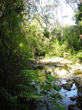 Ferienhaus in Kennedy Bay (Thames-Coromandel) oder Ferienwohnung oder Ferienhaus