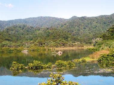 Ferienhaus in Kennedy Bay (Thames-Coromandel) oder Ferienwohnung oder Ferienhaus