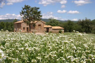 Ferienhaus in Olius (Lleida) oder Ferienwohnung oder Ferienhaus