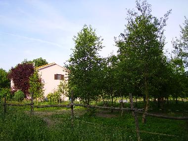 Pension in Perugia (Perugia) oder Ferienwohnung oder Ferienhaus