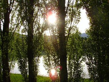 Pension in Perugia (Perugia) oder Ferienwohnung oder Ferienhaus