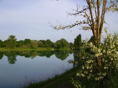 Pension in Perugia (Perugia) oder Ferienwohnung oder Ferienhaus