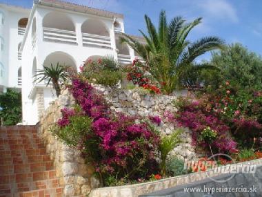 Ferien Kroatien Novalja Insel Pag