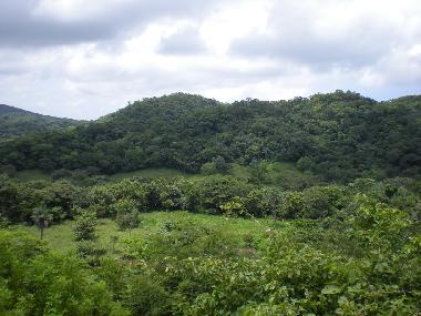 Ferienwohnung in Cabo Velas (Guanacaste) oder Ferienwohnung oder Ferienhaus