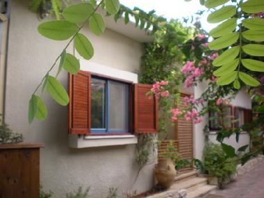 Ferienhaus in Zichron Ya'akov (HaZafon (Northern)) oder Ferienwohnung oder Ferienhaus