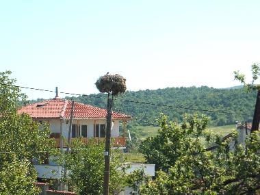 Ferienwohnung in Marinka (Burgas) oder Ferienwohnung oder Ferienhaus