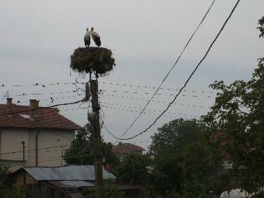 Ferienwohnung in Marinka (Burgas) oder Ferienwohnung oder Ferienhaus