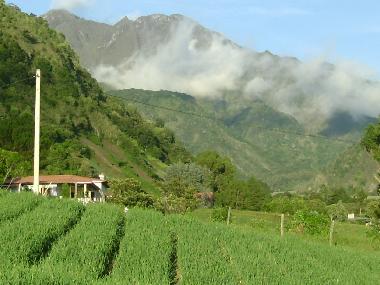 Chalet in Volcan (Chiriqui) oder Ferienwohnung oder Ferienhaus