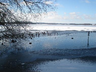 Holsteinische Schweiz im Winter