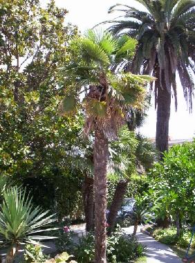 Ferienwohnung in Herceg Novi (Montenegro) oder Ferienwohnung oder Ferienhaus