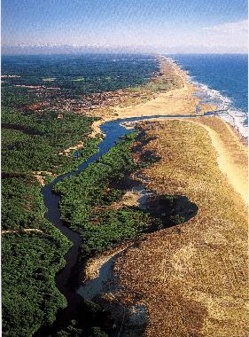 Ferienwohnung in Moliets Plage (Landes) oder Ferienwohnung oder Ferienhaus
