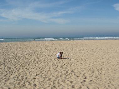 Ferienwohnung in Moliets Plage (Landes) oder Ferienwohnung oder Ferienhaus