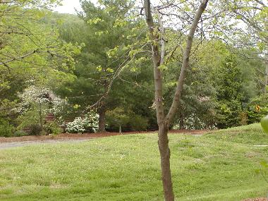 Ferienhaus in Branson (Missouri) oder Ferienwohnung oder Ferienhaus