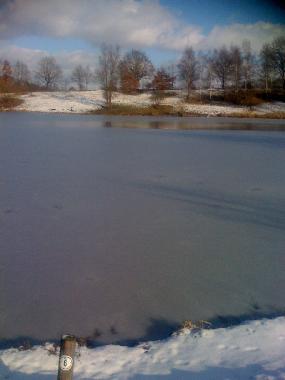 Ferienwohnung in Hamburg/Witzhave (Hamburg) oder Ferienwohnung oder Ferienhaus