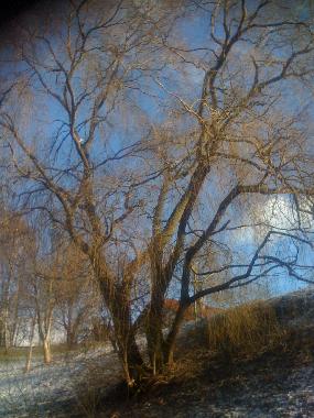 Ferienwohnung in Hamburg/Witzhave (Hamburg) oder Ferienwohnung oder Ferienhaus