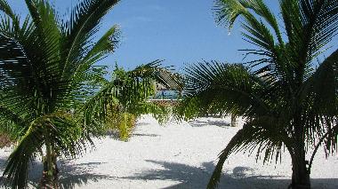 Hotel in Celestun (Yucatan) oder Ferienwohnung oder Ferienhaus
